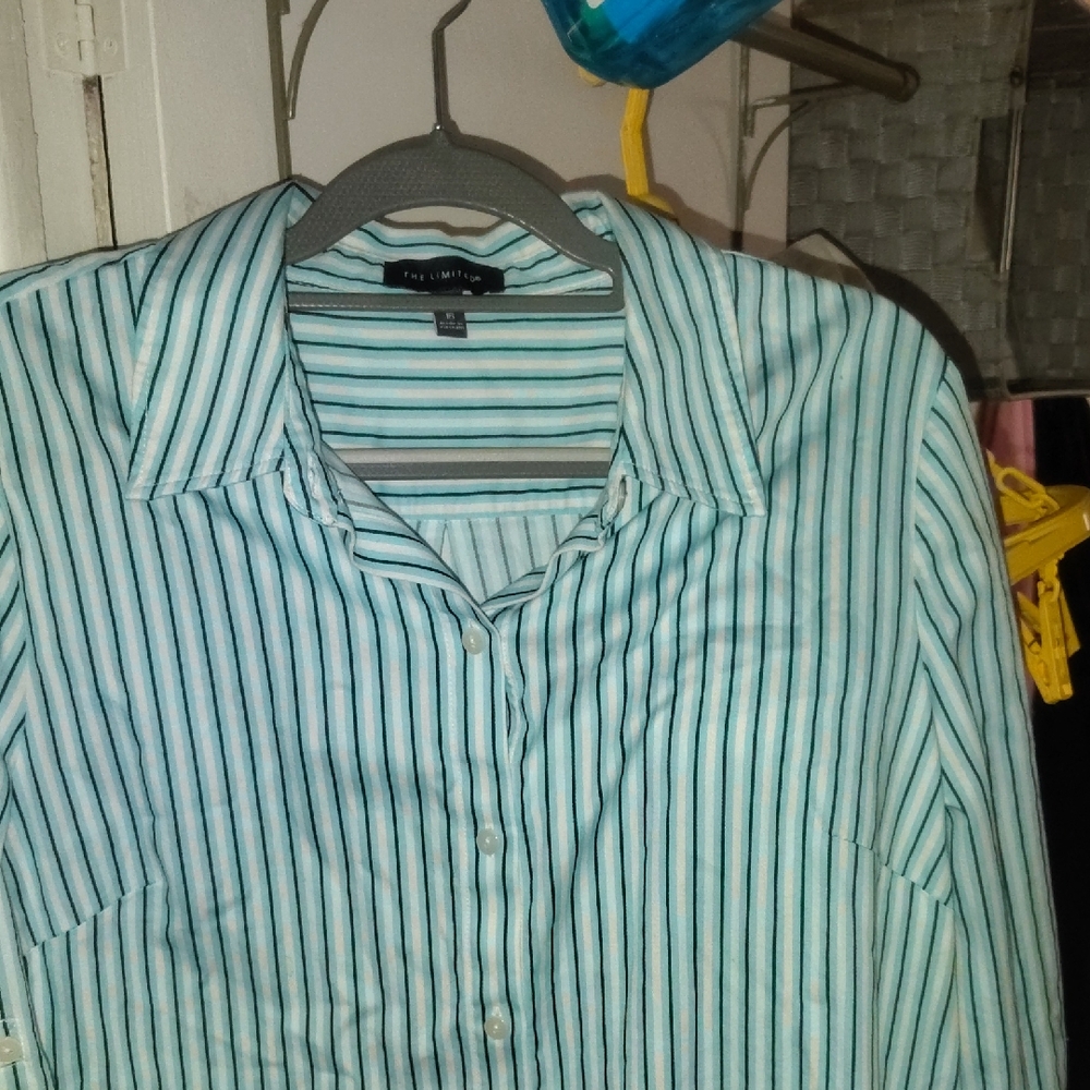 The Limited Mint Green, White & Navy Striped Dress Shirt